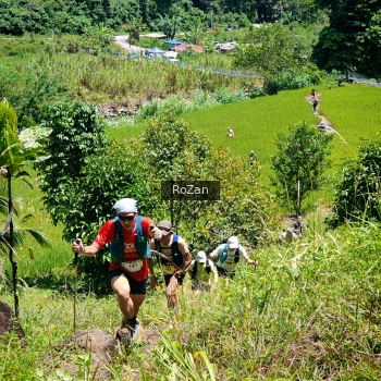 Runner Photo 85263