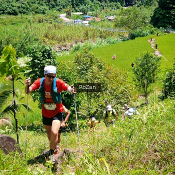 Runner Photo 85268