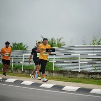 Runner Photo 8527724