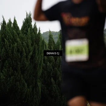 Runner Photo 8527788