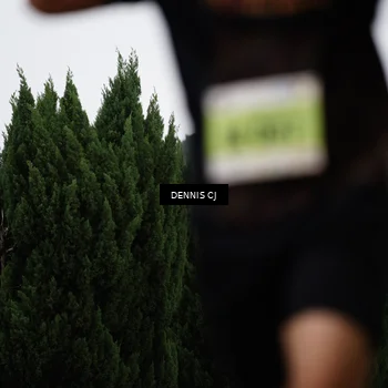Runner Photo 8527791