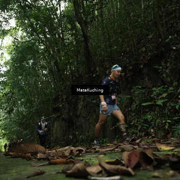 Runner Photo 8530421