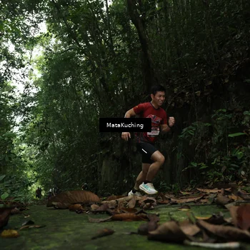Runner Photo 8530649