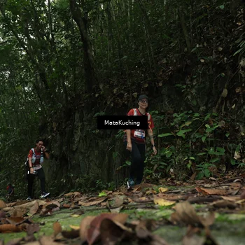 Runner Photo 8534967