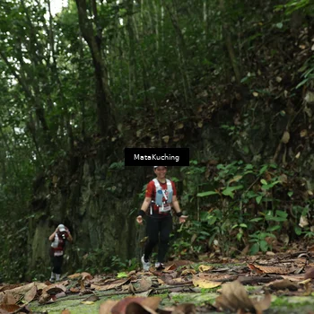 Runner Photo 8535022