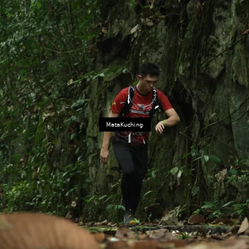 Runner Photo 8535119