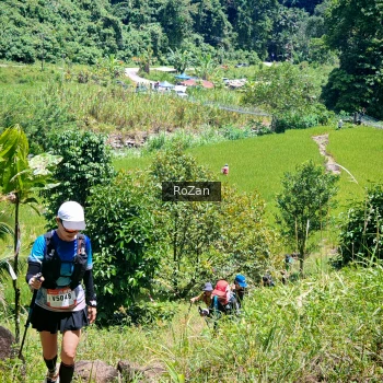 Runner Photo 85369