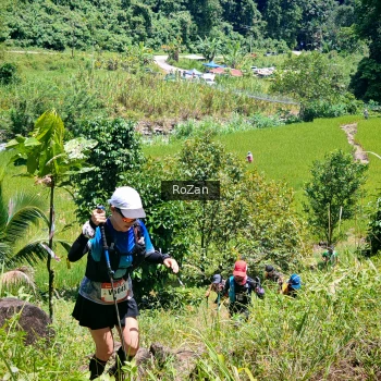 Runner Photo 85372
