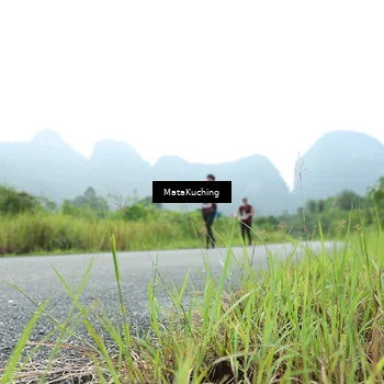Runner Photo 8537271