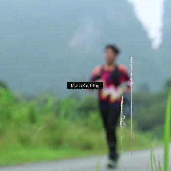 Runner Photo 8539238