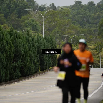 Runner Photo 8540035