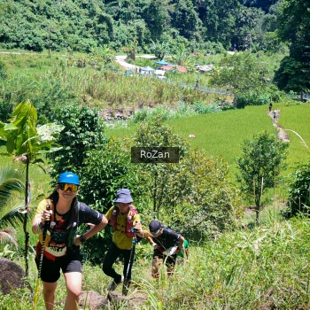 Runner Photo 85404