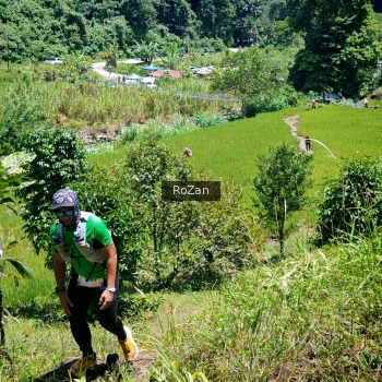 Runner Photo 85429