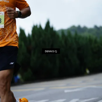 Runner Photo 8545872