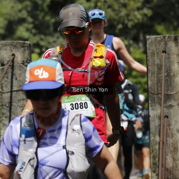 Runner Photo 85509