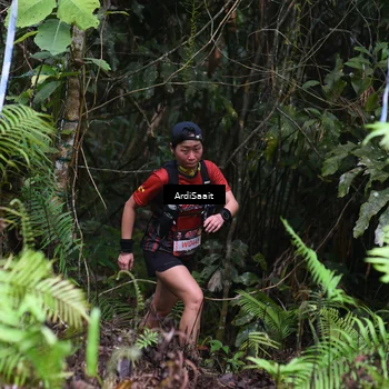 Runner Photo 8551347