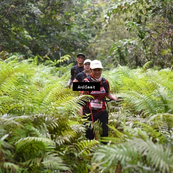 Runner Photo 8551373