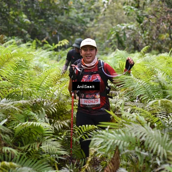 Runner Photo 8551396