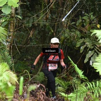 Runner Photo 8551611
