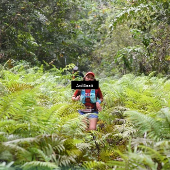 Runner Photo 8551857