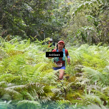 Runner Photo 8551900