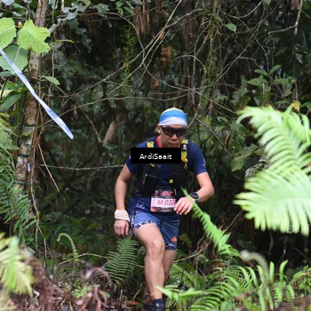 Runner Photo 8552416