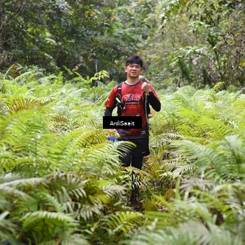 Runner Photo 8552548