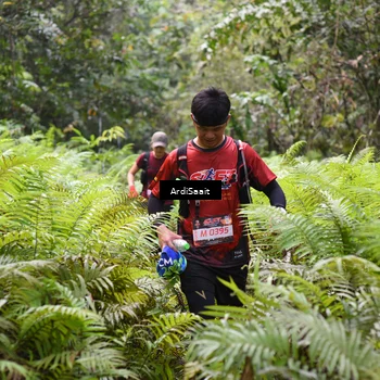 Runner Photo 8552614