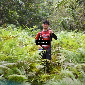 Runner Photo 8552682