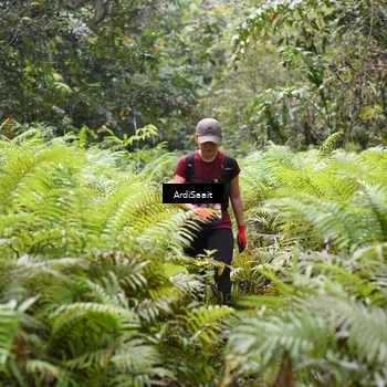 Runner Photo 8552686