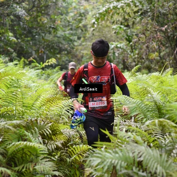 Runner Photo 8552687
