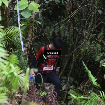 Runner Photo 8552877