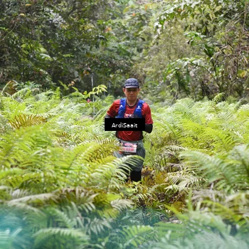 Runner Photo 8552979