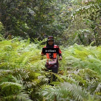 Runner Photo 8553048