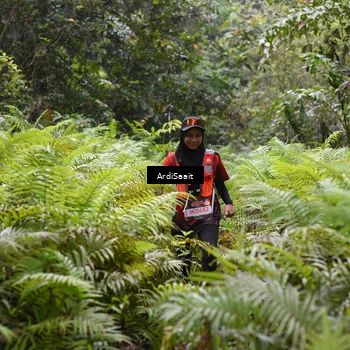 Runner Photo 8553060