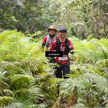 Runner Photo 8553200