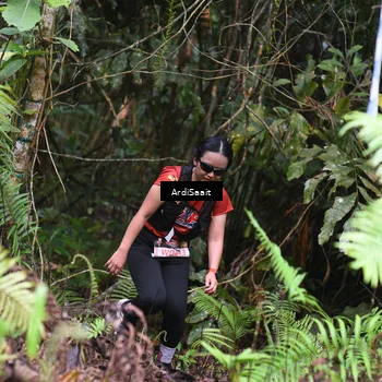 Runner Photo 8553494