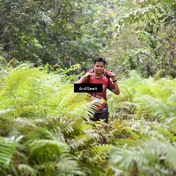 Runner Photo 8553680