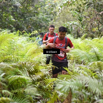 Runner Photo 8553712