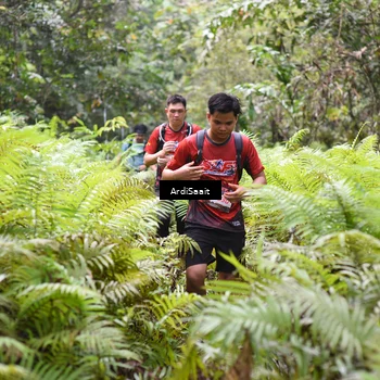 Runner Photo 8553718