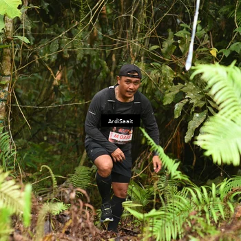 Runner Photo 8554066