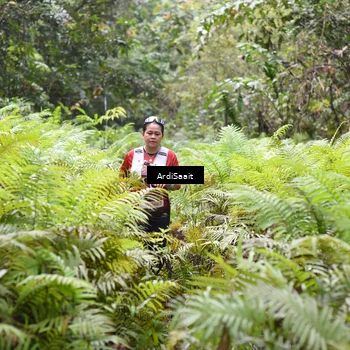 Runner Photo 8554142