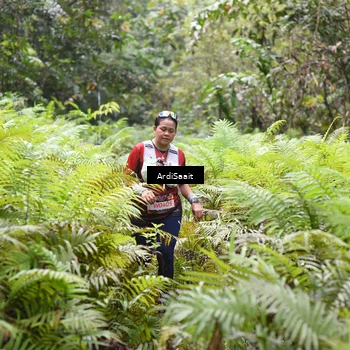 Runner Photo 8554178