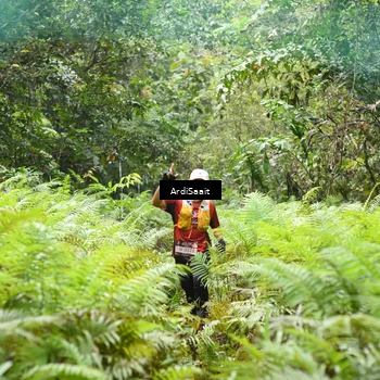 Runner Photo 8554327
