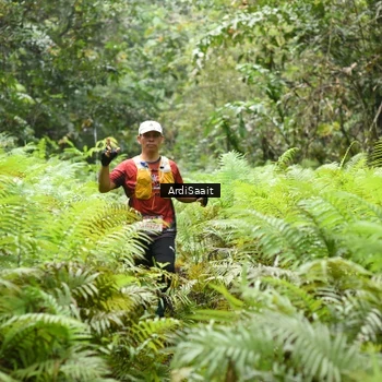 Runner Photo 8554359