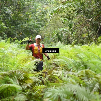 Runner Photo 8554397
