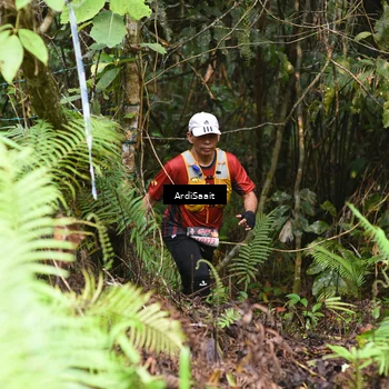 Runner Photo 8554491