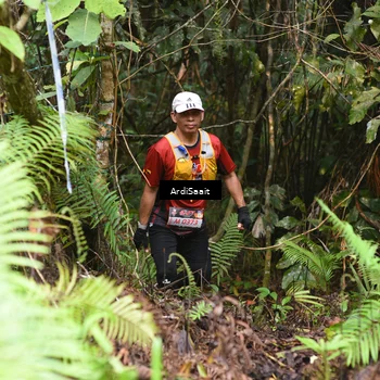 Runner Photo 8554493