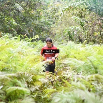 Runner Photo 8554557