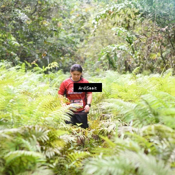 Runner Photo 8554581